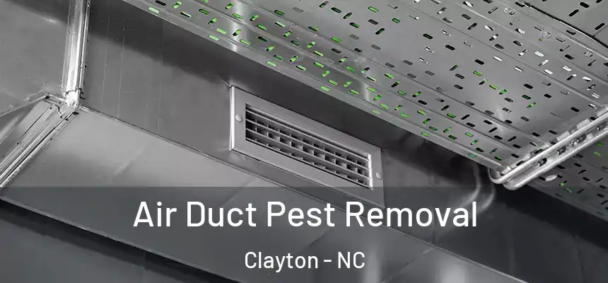  Air Duct Pest Removal Clayton - NC
