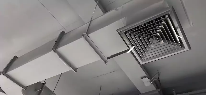 Restorative Allergy Relief Vent Cleaning – Coil, Blower & Housing Detail in Clayton