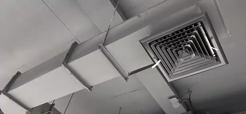 Our Pest Removal From Ducts Services in Clayton, NC