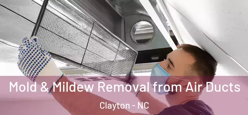  Mold & Mildew Removal from Air Ducts Clayton - NC