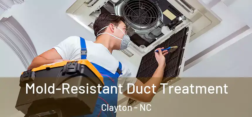  Mold-Resistant Duct Treatment Clayton - NC