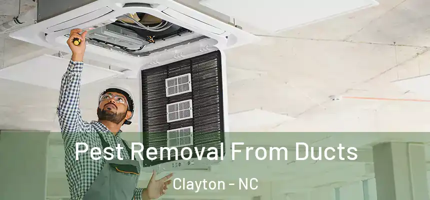 Pest Removal From Ducts Clayton - NC